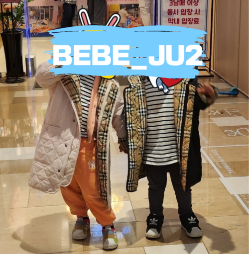 55b74472c086273bda7d35c6ee774269_1668936641_2154.png